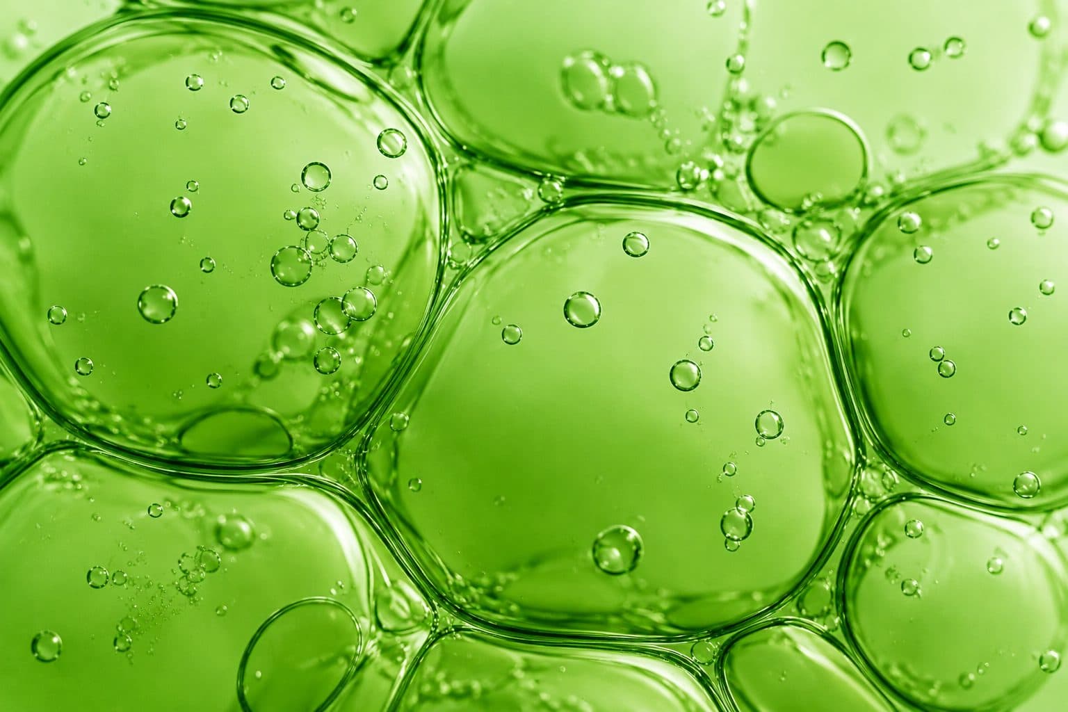 Chlorophyll